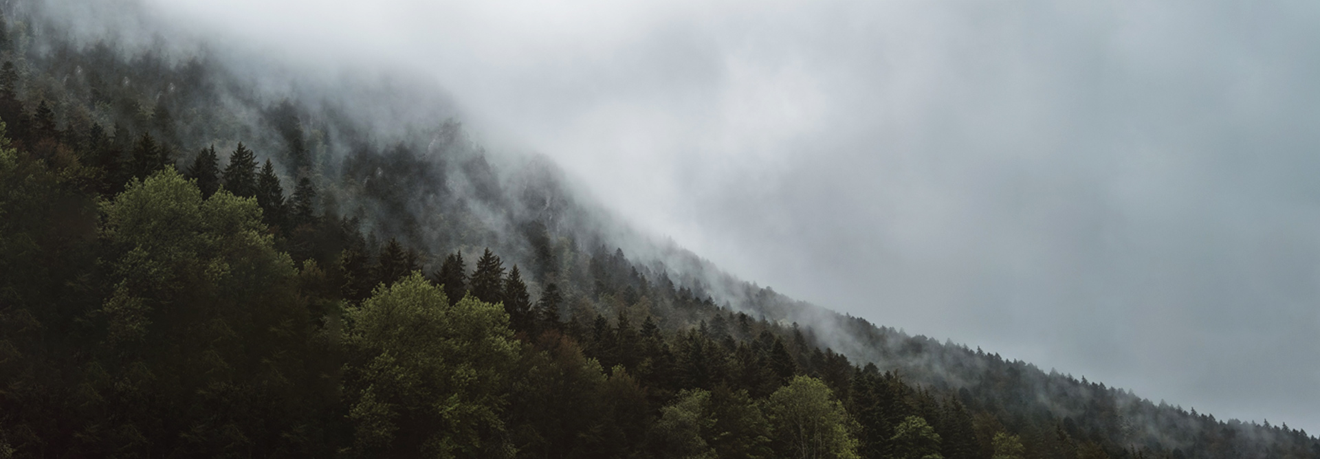 Vihre&auml; valmistus