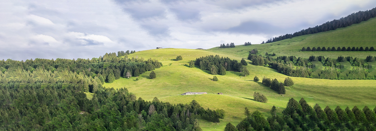 ymp&auml;rist&ouml;yst&auml;v&auml;llinen kaluste