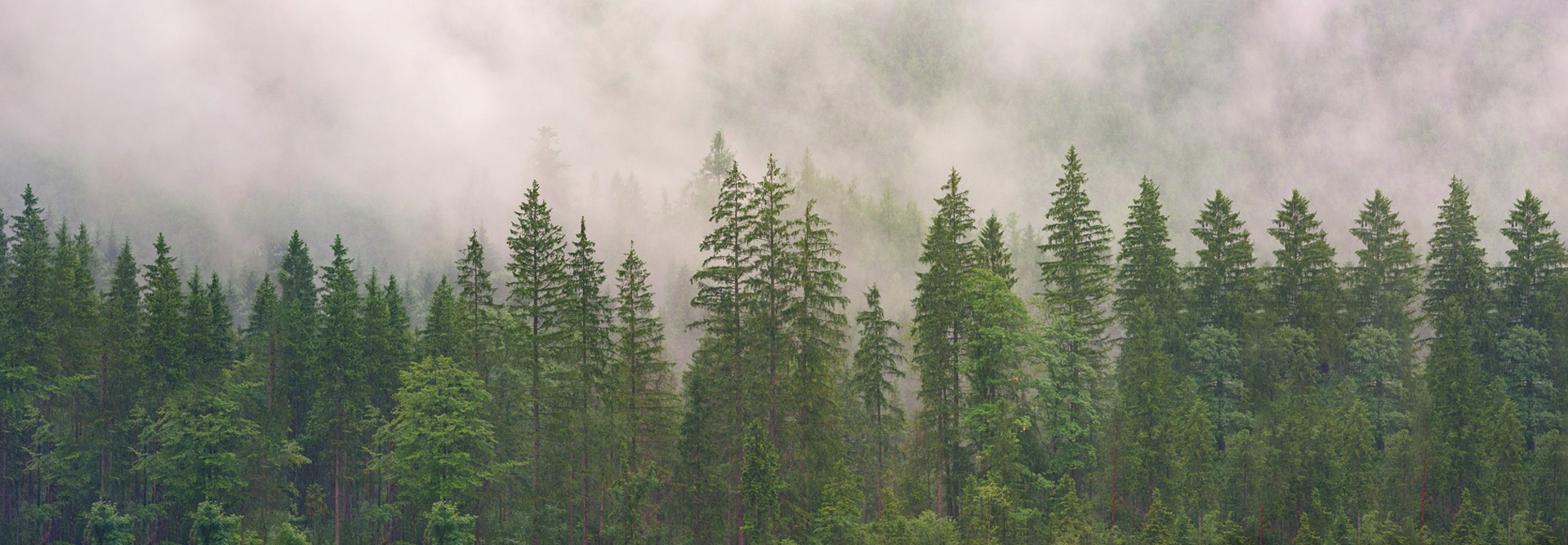 ymp&auml;rist&ouml;yst&auml;v&auml;llinen kaluste